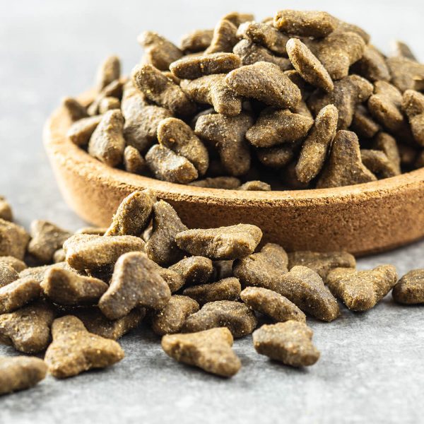 Dried Kibble Dog Food